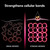 Strengthens cellular bonds. Graphic depicting weak bonds and strong bonds.