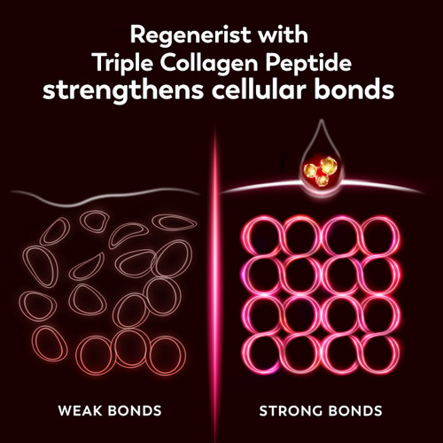 Graphics showing weak and strong cellular bonds. Regenerist with Triple Collagen Peptide strengthens cellular bonds.