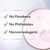 Ingredient. No parabens, no phthalates and noncomedogenic.